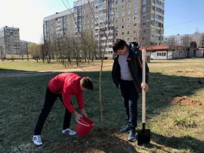 Сделаем наш город зеленым