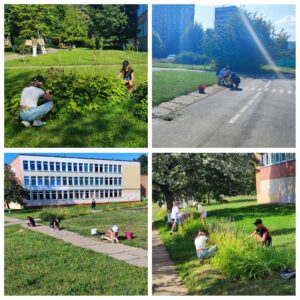 Продолжается работа студотряда «Патриот» совместно с трудовыми бригадами (24.07.2024)