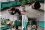 Сегодня, 12.06.2025, в лагере труда и отдыха ребята работали с комнатными растениями