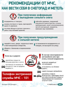 Рекомендации МЧС, как вести себя в снегопад и метель