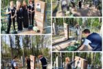 В преддверии памятных дат наши ученики провели важную и благородную работу — привели в порядок территорию воинских захоронений