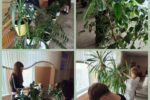 Сегодня, 08.06.2026, ребята в лагере труда и отдыха работали с комнатными растениями