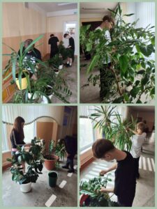 Сегодня, 08.06.2026, ребята в лагере труда и отдыха работали с комнатными растениями
