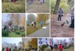 «Осенний челлендж: чистый двор»